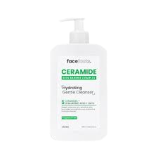 Face Facts Ceramide Cleanser